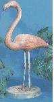 Pink Flamingo