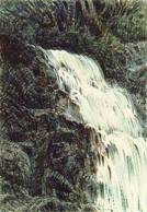 Laural Falls (Click for larger image.)