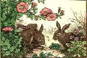 Rabbits and Roses